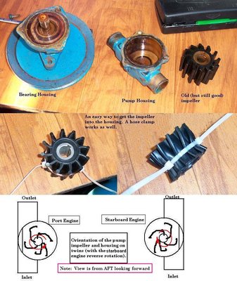 impeller Pump Oreientation.jpg