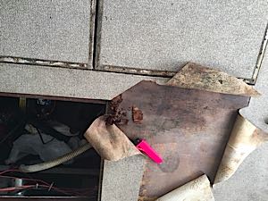 IMG_2485.jpg