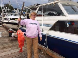 2014 red snapper at 16KB.jpg