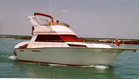 11402.79.Pure Pleasure 072802ba.jpg.jpg.yafalbum