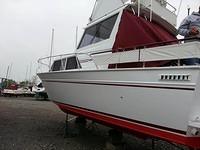 11902.111.photo 1.jpg.jpg.yafalbum