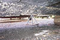 27736.B-3.JPG.jpg.yafupload